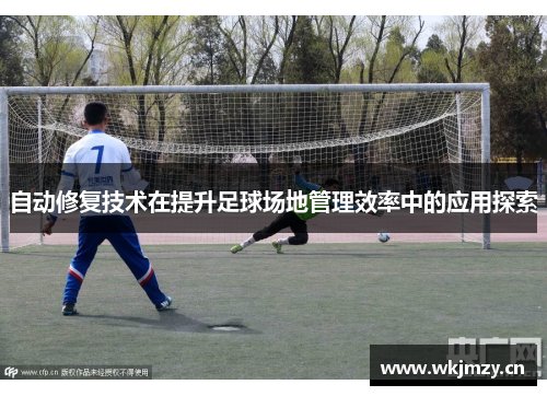 自动修复技术在提升足球场地管理效率中的应用探索