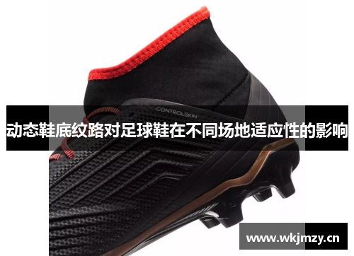 动态鞋底纹路对足球鞋在不同场地适应性的影响